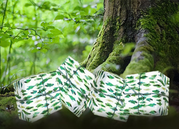 Balíčky pro Čistý les